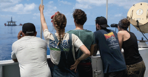 Part of the team from Greenpeace that tracked Shell's drilling rigs as they recently crossed the Pacific Ocean on their way to Arctic waters off the coast of Alaska. From left: Johno Smith, Zoe Buckley Lennox, Aliyah Field, Andreas Widlund, and Miriam Fri