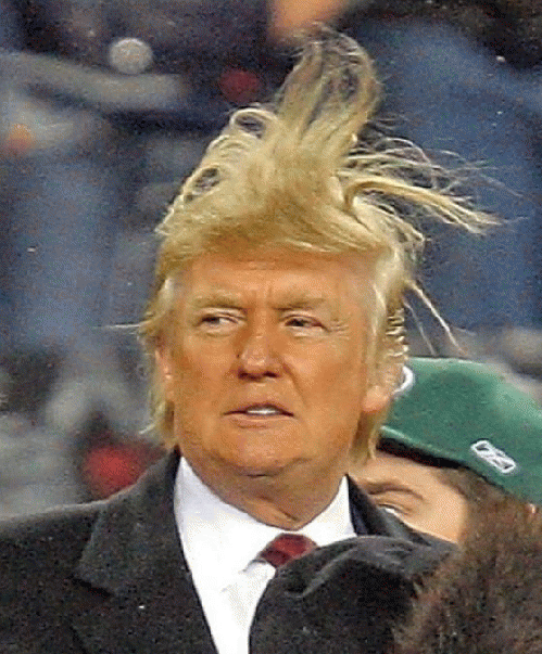 The Donald, From ImagesAttr