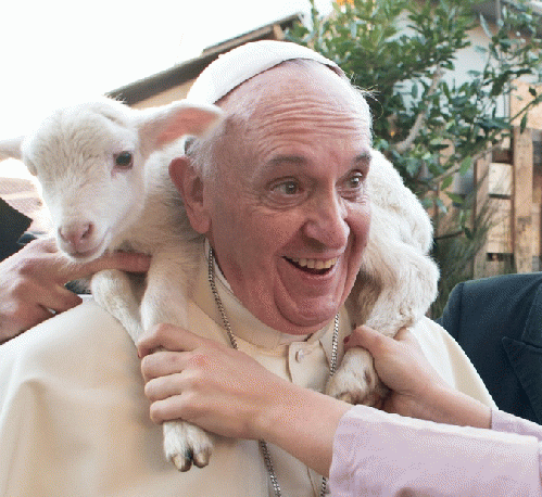 Pope Francis and Lamb, From ImagesAttr