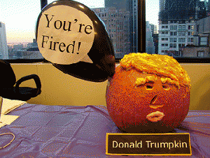 donald trumpkin, From ImagesAttr