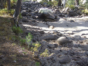 A dry stream