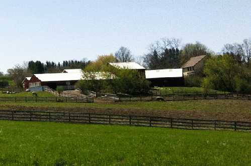Farm Sanctuary, Watkins Glen, N.Y., From ImagesAttr