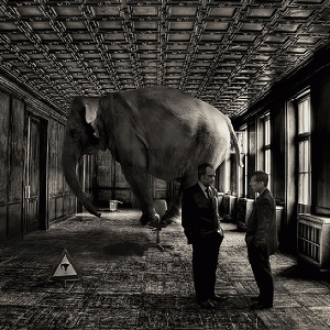 Make your voice count. Choose an elephant in the room and be sure your politicians take care of it., From ImagesAttr