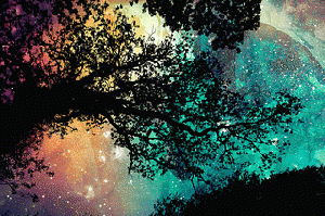 All things are possible in this playful Universe. All things are possible in this playful Universe.