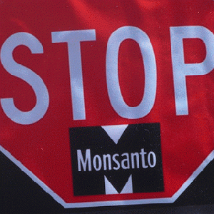 Stop Monsanto!