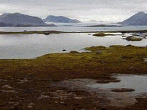 SLEEPING GIANT IN THE ARCTIC, From YouTubeVideos