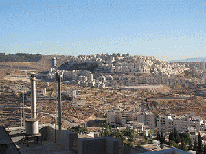 Settlement ravages hillside