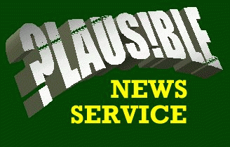 Plausible News logo