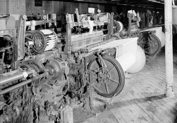 One Woman, Eight of These Machines One Woman, Eight of These Machines