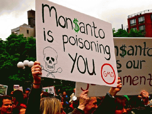 A protester holds a placard during a march in New York., From ImagesAttr