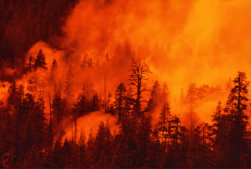 Wildfire, From ImagesAttr