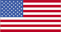 U.S. Flag, stylized