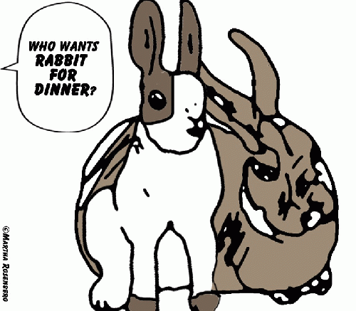 One child was horrified by a rabbit slaughter, From ImagesAttr