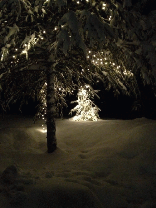 Winter Light in Alaska, From ImagesAttr