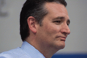 Ted Cruz, From FlickrPhotos
