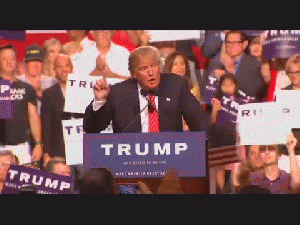 Donald Trump Brings Down The House, From YouTubeVideos