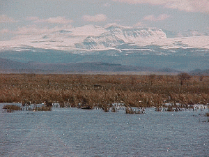 malheur refuge, Steens over Wetlands