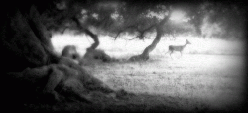 Doe at Little Lyndon's Tree, From ImagesAttr