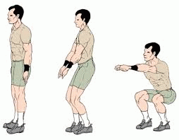 Bodyweight Squats, From ImagesAttr