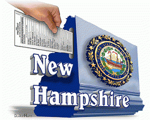 New Hampshire Primary, From FlickrPhotos