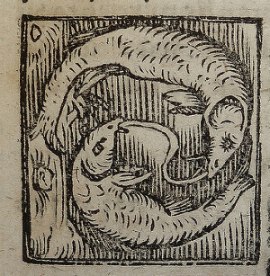 Woodcut illustration of the zodiac sign Pisces used by Alexander and Samuel Weissenhorn of Ingolstadt