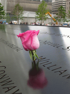 Rose at 9/11 Memorial Museum