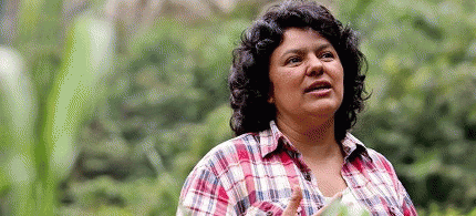 Berta Caceres, a indigenous environmental activist, who was murdered in Honduras., From ImagesAttr