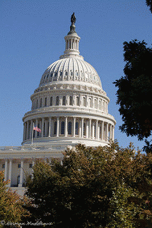 US Capitol - Dome-4824