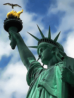 New York - Liberty Island .Statue of Liberty & Seagull.