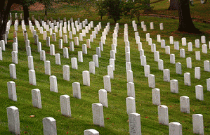 Arlinton National Cementary , Memorial Day
Owner: JustoRuiz, Capturing smiles one shot at a time ?, From FlickrPhotos