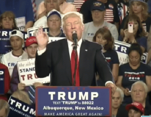 Trump Compliments Himself at Albuquerque Rally, Makes Use of Elocution Lessons (screen grab)