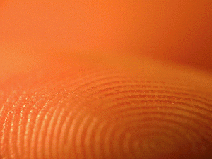 Fingerprints close-up