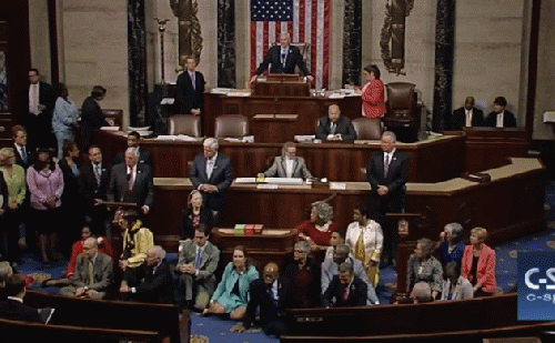 Democratic Sit-in