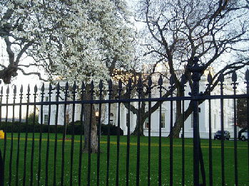 White House, From FlickrPhotos