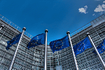 European Union Flags, From FlickrPhotos