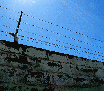 Wall Barbed Wire Fence Blue Sky Gainesville