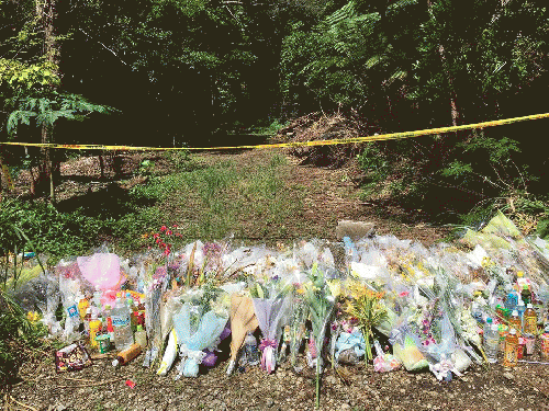 Flowers for Rina Shimabukuro at isolated area near Camp Hansen where her was was identified by the perpetrator