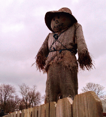 Scarecrow, From FlickrPhotos