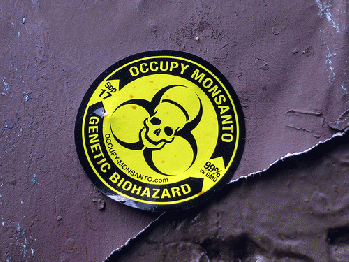 Occupy Monsanto, From FlickrPhotos