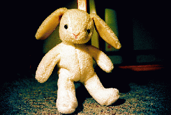 Velveteen Rabbit: it takes a long time to become REAL, From FlickrPhotos