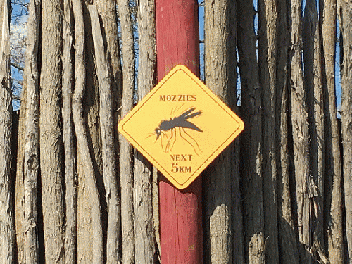 Mosquito Zone, From FlickrPhotos