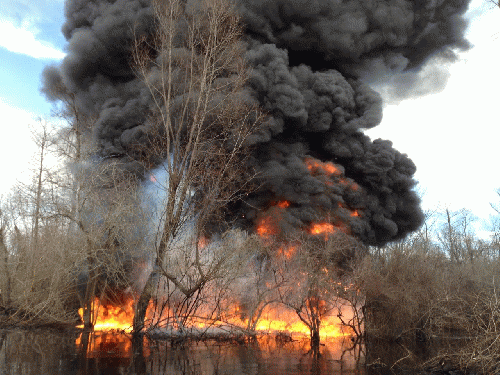 Sometimes setting fire to an petroleum drenched swamp is a good thing and the only course of action, as here in remote, wooded swamp tucked inside Bayou Sorrel, La.