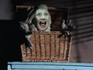 Basket of Deplorables, From ImagesAttr