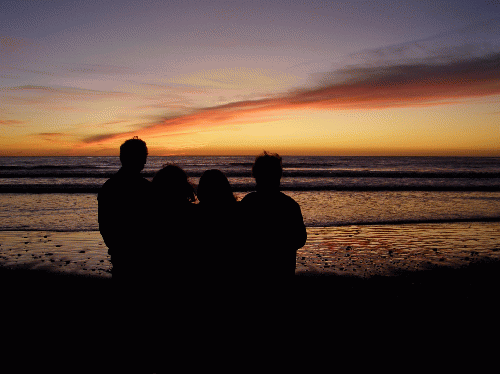 Together for a shoreline sunset.