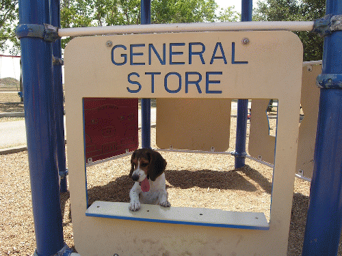 Rocco at the park