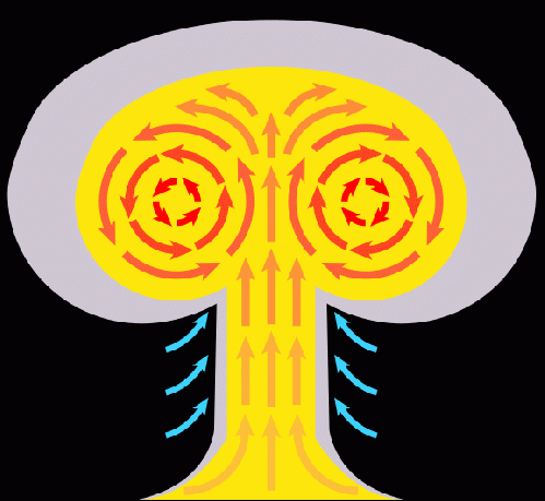 Schematic of nuclear mushroom cloud. Picture yourself and your family in an updraft pink arrow, care of the Deep State and the MSM. For peace and your survival -- support OpEdNews!, From ImagesAttr