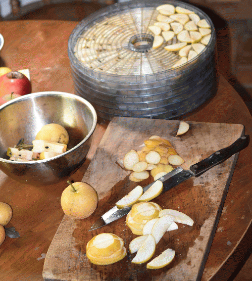 Slicing pears for the dehydrator