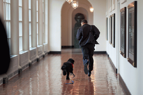 President Barack Obama runs down the East Colonnade, From FlickrPhotos
