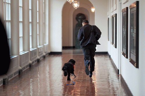 President Barack Obama runs down the East Colonnade