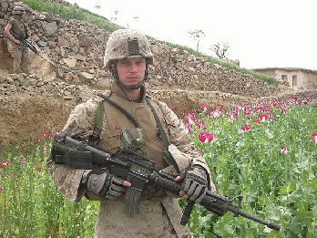 US Army solder on a Poppy Field in Afghanistan, From WikimediaPhotos